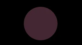 BLACK PLUM PENCIL LIP LINER