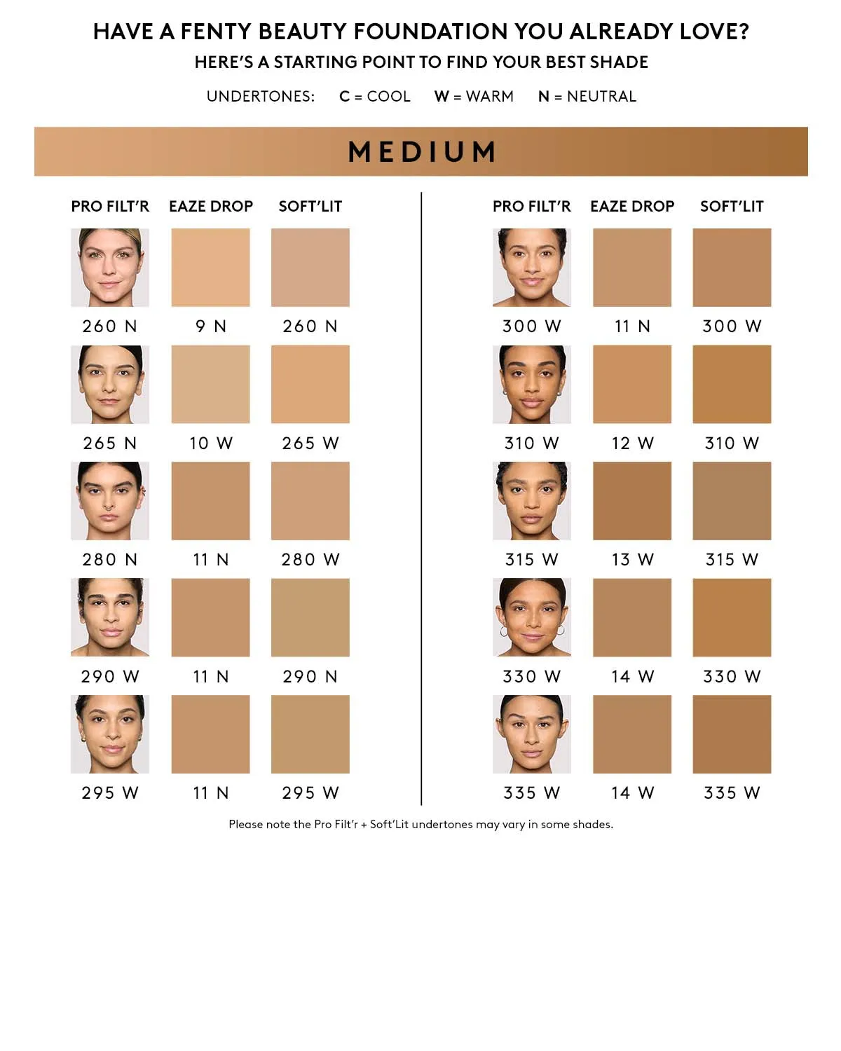 Pro Filt'r Soft Matte Longwear Foundation — #310