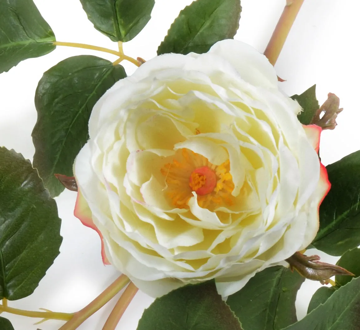 Rose Bud Stem - White