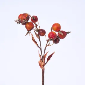 Textured Dried Look Burgundy Red Parchment Rosehip Fall Branch Spray - 18"